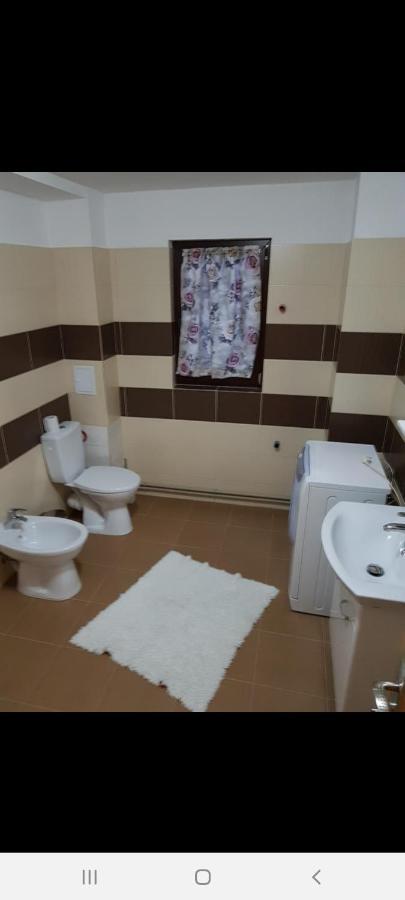 Casa Alma Ξενοδοχείο Borşa Εξωτερικό φωτογραφία