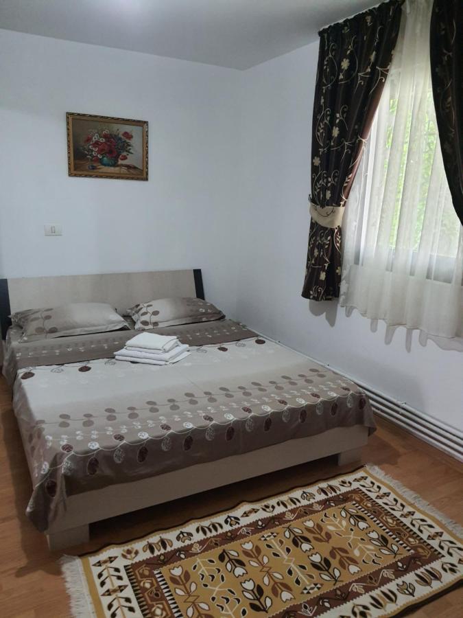 Casa Alma Ξενοδοχείο Borşa Εξωτερικό φωτογραφία