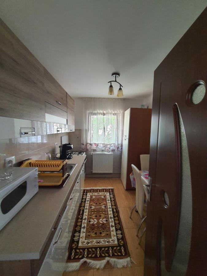 Casa Alma Ξενοδοχείο Borşa Εξωτερικό φωτογραφία